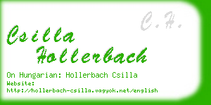 csilla hollerbach business card